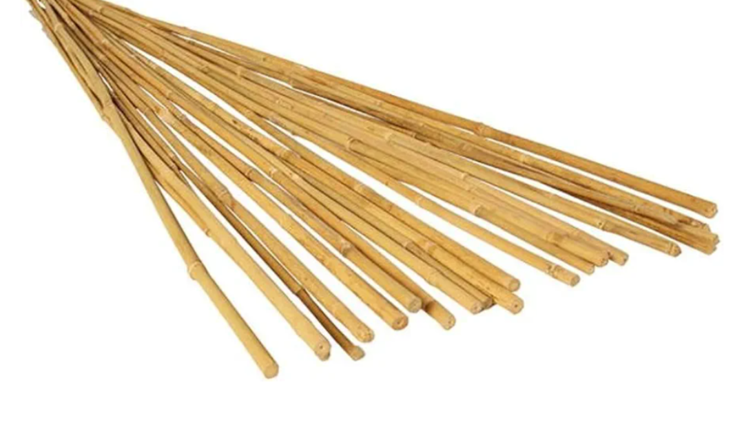 Hydrofarm HGBB4 4' Natural, Pack of 25 Bamboo Stake, 4 Foot, Tan