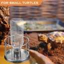 Toyvian Mini Turtle Water Feeder Stainless Steel Splash-Proof Reptile Feeding Basin 4.5 Inch Compact Water Dispenser for Land Turtles and Small Reptiles