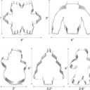 2 x Large Christmas Cookie Cutters, 4" Cookie Cutter Set with Christmas Tree, Gingerbread Man, Snowflake, Snowman, Decorating Tools for DIY Cookies