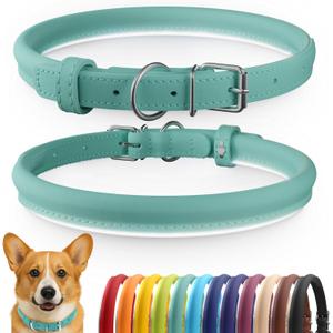 CollarDirect Reflective Rolled Leather Dog Collar, Soft Padded Round Puppy Collar, Handmade Genuine Leather Collar Dog Small Large Cat Collars 13 Colors (13-16 Inch, Mint Green Smooth)