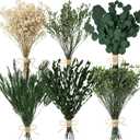 6 Bunches Large Size Dried Flowers and Dried Plant Mixed Bouquet 15 -17 Inch Green Series Natural Eucalyptus Babys Breath Rice Flower Floral Arrangement with Stems for Vase Wedding Farmhour Home Decor