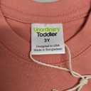 Big Sister Shirt Outfit Announcement Toddler Sibling Reveal to be 18 Months 2t 3t