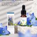 Essential Oil Diffuser Set, Natural Crystal Stone, Blue Bell Aromatherapy, Home Fragrance, Reed Diffuser, for Bedroom, Bathroom, Shelf Decor