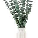 10 Pcs Dried Eucalyptus Stems 17" Real Eucalyptus for Shower Hanging 100% Made from Fresh Leaves, Wedding, Home, Farmhouse, DIY Spring Decor Bathroom Decor Home Decor