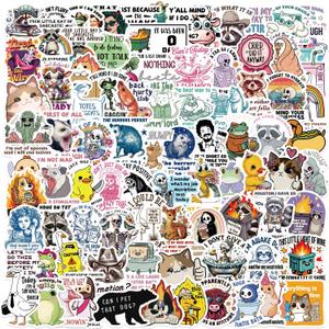 100PCS Funny Holographic Stickers Sarcastic Meme Stickers Waterproof Vinyl Decals for Laptop Water Bottle Skateboard Luggage Car Bumper for Kids Teens Girls Adults