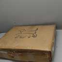 Petskd Top-Expandable Pet Carrier 19x13x9 Inches Southwest Allegiant Airlines Approved, Soft-Sided Carrier for Small Dog Under 12 lbs and Large Cat Under 15 lbs (Blue)