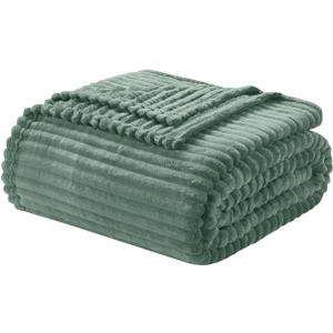 Nestl Green Throw Blanket for Couch - Cozy Warm Fuzzy Blankets for Women, Plush Small Fleece Throws for Girls - Sage Green, 50 x 60 Inches