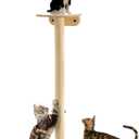 52" Tall Cat Scratching Post for Indoor Cats and Kittens with Platform, Premium Kitten Scratcher Sisal Scratch Posts for Indoor Cats
