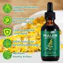 2 Pack Mullein Drops for Lungs, Natural Mullein Herbal Supplements, Mullein Leaf Extract for Lung Cleanse and Respiratory Support, 2.02 fl oz