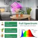 Garpsen Grow Light, 80 LEDs Full Spectrum Plant Lights for Indoor Growing with Clip, 3 Color Modes & 5 Dimming Levels Grow Lamp with Timer 6/12/16H, 360 Adjustable Gooseneck, for Indoor Plant(2Pack)