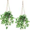 TNNTOPELE Hanging Plant Fake Plants with Pots, 2 Pack Artificial Plants, Faux Anthurium Leaf Basket for Wall Home Room Indoor Outdoor Decor (Green)