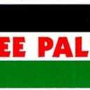 Free Palestine – Bumper Sticker/Decal (5.75" X 3