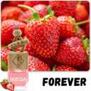 ikeda fragrance Car Air Freshener | Square Hanging Car Scent with Vent Clip Bottle | Long Lasting Fragrance | Essential Oil Diffuser | Odor Eliminator Deodorizer (Square-Strawberry)