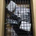 3 Tier Rolling Cart Service Cart Wire Basket Shelf Storage Trolley Shelf 2 Bottoms for Choose(Castor or Leveling Feet) for Office,Kitchen,Black(23.23" L x 13.11" W x 32.28" H)