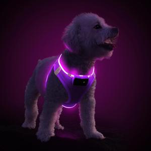 PceoTllar Light Up Dog Harness, LED No Pull Reflective Dog Harness, Flashing Lighted for Night Walking - (Purple,XS)