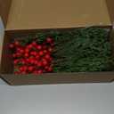 CloudValley 50pcs Artificial Christmas Flowers with a Vase, Red Berry Stems & Faux Norfolk Pine Garland Branches, Evergreen Picks Suitable for DIY Christmas Trees, Winter Home Holiday Decor