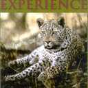 African Experience: A Guide to Modern Safaris