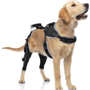 LISPOO Dog Knee Brace for ACL/CCL Injuries, Torn Ligament , Luxating Patella - Rear Leg Support,  Pain Relief, Joint Warmth, Black,(L),(Both Legs)