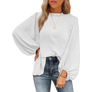 SHEWIN Womens Blouses Dressy Casual Smocked Tops Crew Neck Chiffon Long Sleeve Shirts Spring Outfits 2025 (L)