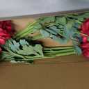 Dark Red Ranunculus Artificial Flowers 6PCS Real Touch Ranunculus Flowers Fake Peonies Artificial Flowers for DIY Wedding Bouquet Party Table Home Decor(Dark Red)
