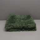 Fluffy Shaggy Area Rugs for Bedroom, Soft Non-Slip Plush Carpet Feet Floor Mats Rectangular Cozy Rug for Nursery Room Living Room Green, 2 ft x 6 ft