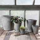 HomArt Rustic Terra Cotta Rose Pot, Small, Moss Grey, 1-Count