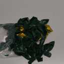 YMSZ Green and Gold Balloons, 67pcs 12 Inch Metallic Gold and Dark Green Balloons for Birthday, Graduation, St. Patrick's Day, Baby Shower, Jungle Party Decorations