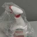 Natures Miracle Stain and Odor Remover Dog, 32 Ounces, Everyday Mess Enzymatic Odor Control Formula (32 Fl Oz (Pack of 1))