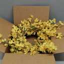 20 Inch Spring Wreath for Front Door, Yellow Forsythia Spring Wreath for Farmhouse Rustic Grapevine Blossom Cluster Festival Celebration Front Door Wall Window Party Decoration Home Dcor