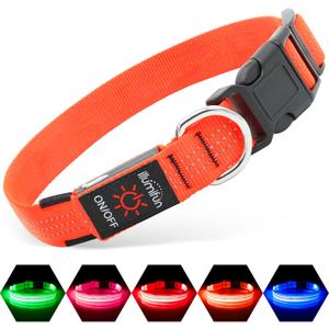 Illumifun LED Dog Collar USB Rechargeable Light Up Dog Collar, Reflective Pet Safety Collar Light Glow in The Dark (Orange, Medium)