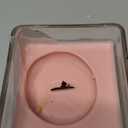 Candle Wood Collection, 15 oz, 1 Wooden Wick, Pink Prosecco, Square Glass Jar Candle