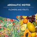 Lavazza TIERRA AMAZONIA USDA ORGANIC Espresso Aluminum Capsules Compatible with Nespresso Original Machines (Pack of 60) ,Value Pack, Medium Roast 100% Arabica, Round & Balanced, notes of chocolate & caramel, Intensity 8 of 13 (EXP 05/30/27)