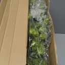 Christmas Placemats Set of 6 Round Greenery Place Mats Xmas Circular Artificial Wreath Dining Table Decor Winter Fake Plants Branches Mats for Kitchen Accessories (Norfolk)