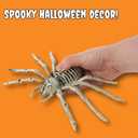 Needzo Halloween Skeleton Spider Decoration, Creepy Haunted House Prop, Party Tabletop Decor, 10 Inches