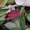 Ling's moment 41inch Tall Standing Artificial Flowers 2pcs, Marsala & Blush