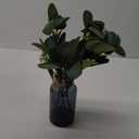 Der Rose 13.5" Fake Plants for Black Bathroom Decor Artificial Eucalyptus Stems in Black Glass Vase with Faux Water for Office Desk Accessories Farmhouse Home Table Centerpiece DecorSage Green