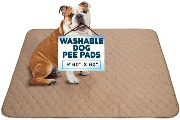 EZwhelp Reusable Dog Pee Pads - Dogs Waterproof Training Pads - Washable & Sanitary - Rounded Corners - Laminated, Lightweight, Durable - Pet Essentials Puppy Training, Whelping - 60" x 60" (60x60 Inch (Pack of 1))