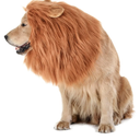 Realistic & Funny Lion Mane for Dog Complementary Lion Mane for Dog Costumes for Medium to Large Sized Dogs Costumes for Animals