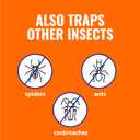 Terro T230 Indoor Electric Flea Trap and Killer - Refillable Flea Traps for Inside Your Home