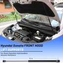 2 Pcs Front Bonnet Hood Lift Support Struts Gas Springs Shock Replacement for Hyundai Sonata 2015-2017, Bonnet Hood Shocks Struts Replaces 81161-C1000 81171-C1000 6020 371418 941221 PM3570