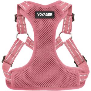 Best Pet Supplies Voyager Mesh Dog Breathable Harness Reflective Stitching, All Weather Adjustable for Walking Training, or Running - Heavy Duty & Durable, Harness (Pink) (L (Chest: 20 - 25"))