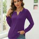 LUYAA Women's Tunic Tops Long Sleeve V Neck T-Shirts Blouses Dressy Casual Loose Fit Fall Shirt (Purple L) (Purple, L)