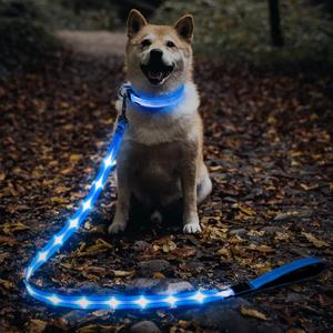 Illumifun LED Dog Leash, USB Rechargeable Glowing LED Lead, 4 FT Nylon Light Up Leashes for Dogs Wlaking at Night (Blue)