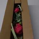 ATFL Rose red Ranunculus Artificial Flowers,6 Pcs Artificial Faux Silk Ranunculus Flowers with Real Touch Stems,Fake Peony Flowers for Floral Arrangements DIY Wedding Bouquet Party Table Home Decor