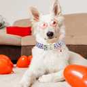 Lionheart glory Valentine Dog Collar-Red Hearts Cute Spring Dog Collar for Medium Dogs Female Male Adjustable Heavy-Duty Puppy Collars Holiday Pet Gift (Medium(Pack of 1))