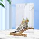 Oooct Large Bird Mirror Toy with Perch Stand, Parrot Parakeet Mirror with Bird Swing Bell Toys, Bird Cage Accessories, Suitable for Parakeet Cockatiel Conure Lovebirds - 11.8 7.9 Inch