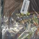 Men Brown Bible Cover Sloth Print Women Bible Carrying Case Church Bag with Multiple Pockets, Bible Case with Top Handle (Medium)