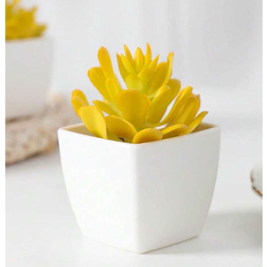 8Pcs Mini Artificial Succulent Plants Simulation in White Pots Small Fake Succulents Decoration for Bedroom Aesthetic Living Room Office Shelf