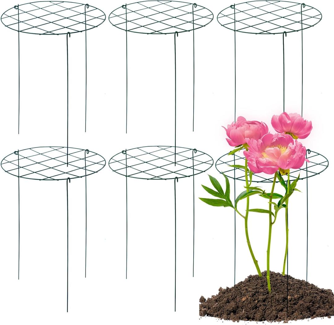 6 Pack Peony Cages and Supports 16 x 24 Inch Grow Through Plant Support Peony Support Ring for Outdoor Plants