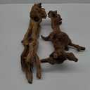 Natural Large Aquarium Driftwood for Fish Tanks & Reptile Terrariums  Safe Fish Tank Decorations, Unique Twisted Branches 2-Piece 14-18 Inch Low Tannin, Easy to Sink